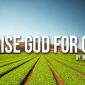 Should Christian's Eat GMOs?